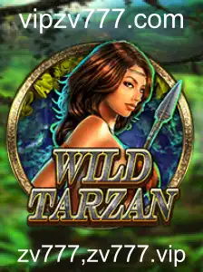 Descubra o Empolgante Mundo de WildTarzan: Regras e Dinâmica de Jogo